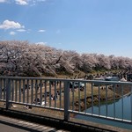 菓匠三全 - 大河原の桜