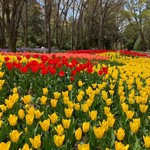 ル・グラン・カフェ - 京都植物園