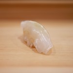 きよ田 - アオリイカ