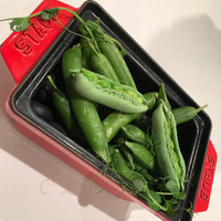 レザンファン ギャテ - 