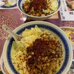 王楽園  - ビャンビャン大VS普通