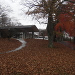 中国料理 桃李 - ホテルの玄関へ