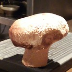 焼き鳥 とりら - BIG椎茸(*゜Q゜*)