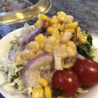 川崎名物 炭火焼肉 食道園 - 