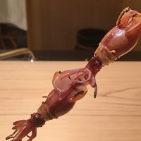 鮨 つぼみ - ホタルイカ