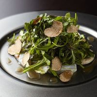 鮮魚の炙りと葉野菜のサラダ仕立てトリュフとともに