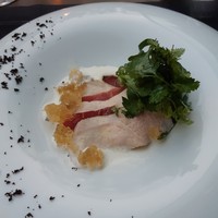 TRATTORIA CREATTA - ホロホロ鳥のカルパッチョ