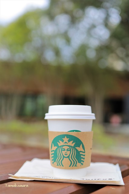 スターバックスコーヒー 浜松城公園店 遠州病院 カフェ 食べログ スターバックスコーヒー 浜松城公園店 遠州病院 カフェ 食べログ