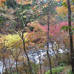 手打そば 時屋 - 景色
