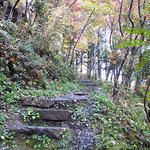 手打そば 時屋 - 店までの小道