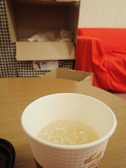 猫カフェアミパ 仙台港店（アミューズパーク仙台港店　猫カフェ） - 中野栄（その他）の写真