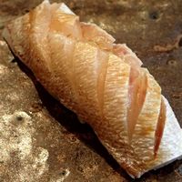 小判寿司 棚倉 - 