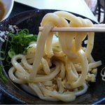 はなまるうどん - 2011.11 カレーセットのうどん（ぶっかけ）