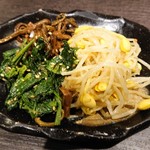 炭火焼肉屋台 たじま屋 - ナムル盛り合わせ￥300 
