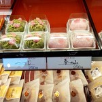 東寺尾 清月 - つつじ