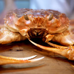 旬菜食房栖玄 - ２０１１年秋