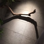 銀座 八五 - 店内①