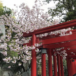 田村神社 日曜市うどん - 