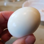 ヤング - ゆで玉子～