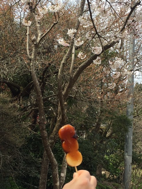 旬味れすとらん 入の坊 - 丸森町その他（洋食）の写真
