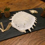 ドノスティア - スッポンと九条葱のパートブリュック