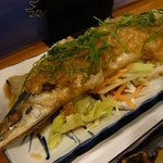 大衆酒蔵 日本海 - 日本海柏東口店005