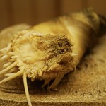 道人 - 塚治農園の真子筍