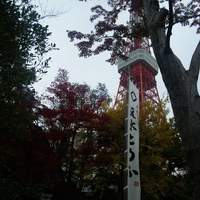 東京 芝 とうふ屋うかい - 都内の紅葉と東京タワー