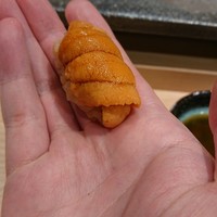 五反田鮨 SUSHI TOKYO 81 - 根室バフンウニ