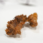 うを徳 - 2019.4 長崎ノドグロのエラ煎餅