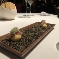 ブレストンコート ユカワタン - 