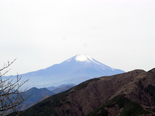 Teuchi Soba Koedo - 大山から見える富士山