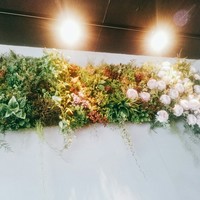 テアトロ ディ マッサ - 