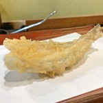 江戸前晋作 - 鱚（5日間寝かせ）