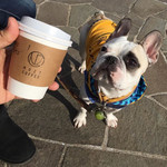 NOZY COFFEE - 