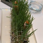 Silvio nickol gourmet restaurant  - 