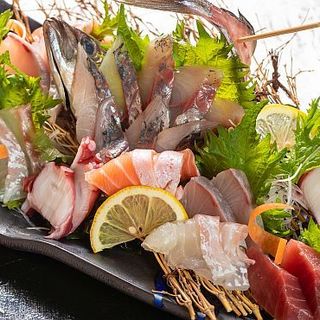 旬鮮居酒や 晴れる屋_1