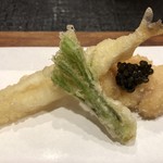 津の守坂 小柴 - アップ