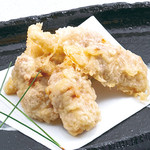 Oita Nakatsu fried chicken