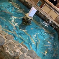 河太郎 中洲本店 - 