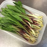 なごみや一夜 - 行者にんにく、アイヌネギ、ヒトピロ