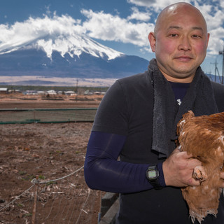 请品尝在富士山脚下成长的安全，安心，新鲜的鸡。