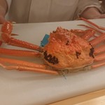 馬車道 大かわ - 