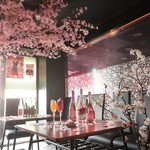 Dining Bar Hellos - 店内でお花見❀