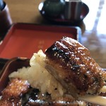 Shougiya - 表面カリッと、中はジューシーな美味い鰻です（２０１９．４．１５）