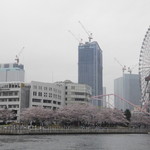 Butter - 海から見たMM21の桜