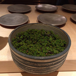 霜止出苗 - 奈良の花山椒