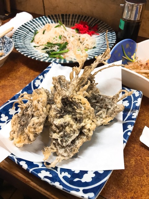 沖縄料理 めんそ れ 長浜 沖縄料理 食べログ 沖縄料理 めんそ れ 長浜 沖縄料理 食べログ