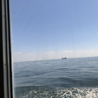 シンフォニー東京湾クルーズ - 