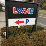 ローチ - 